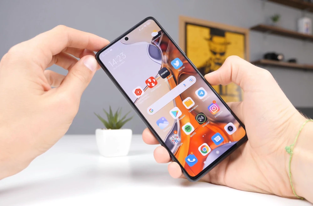 Gabo_Arts / Shutterstock.com
