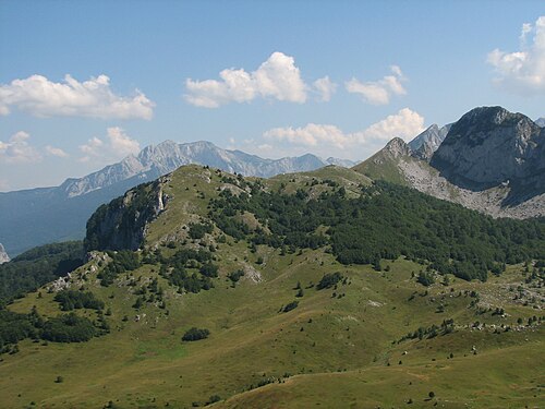 Zelengora (Foto: Vikipedija)
