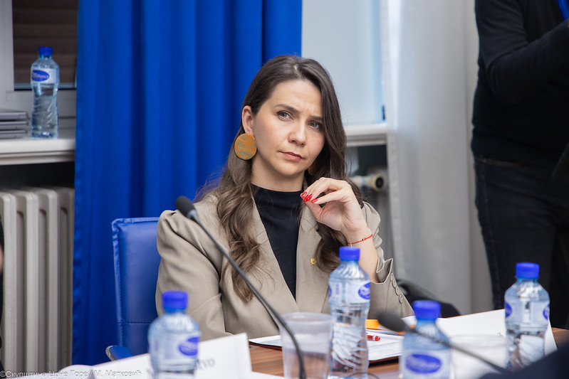 Foto: Skupština CG/arhiva