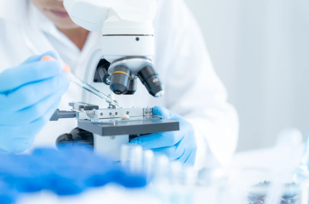 Foto: Shutterstock/ Shisu_ka
