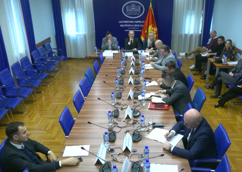 Foto: Printscreen/ YouTube/ Skupština Crne Gore