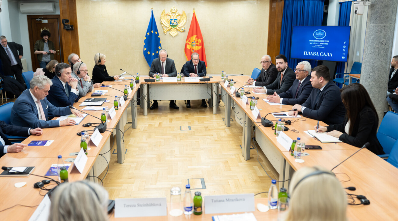 Foto: Skupština Crne Gore