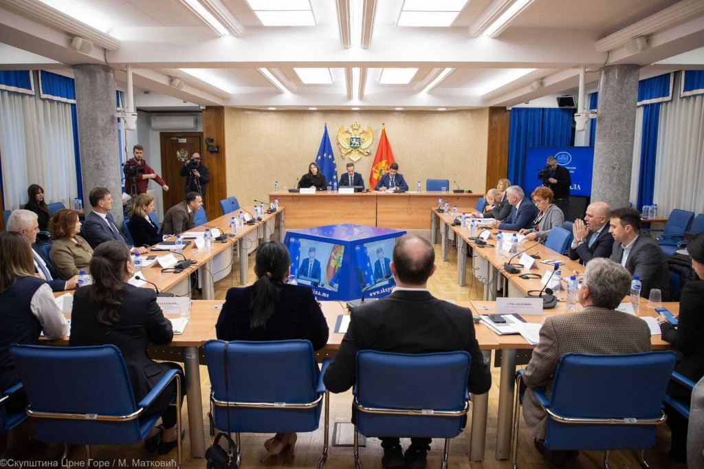 Foto: Printscreen/ YouTube/ Skupština Crne Gore