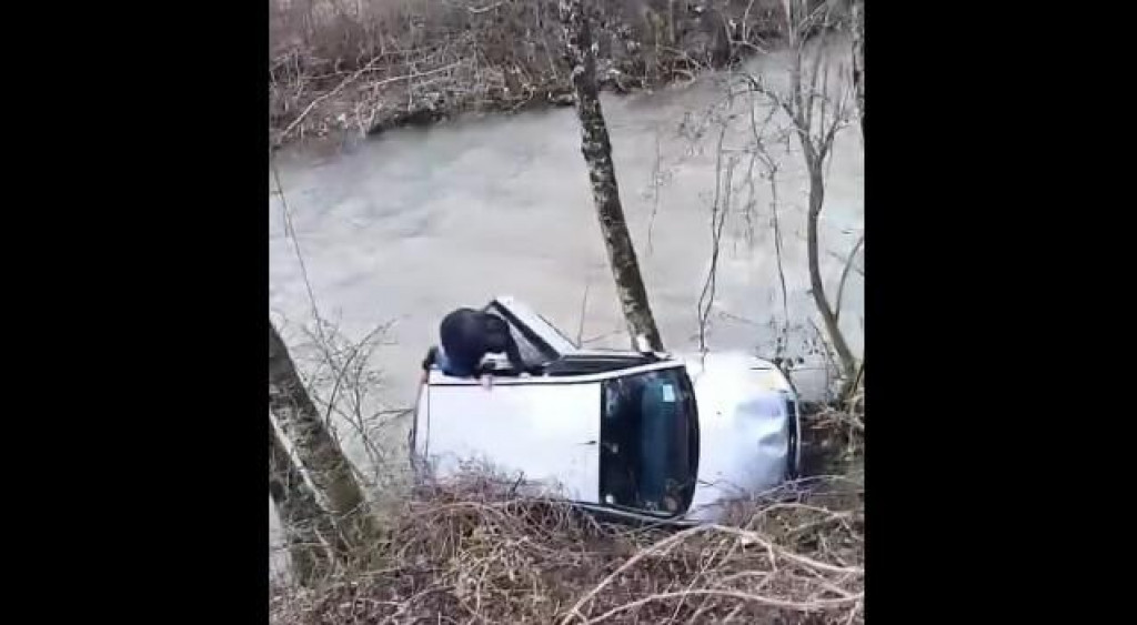 Foto: Vijesti iz Bijelog Polja