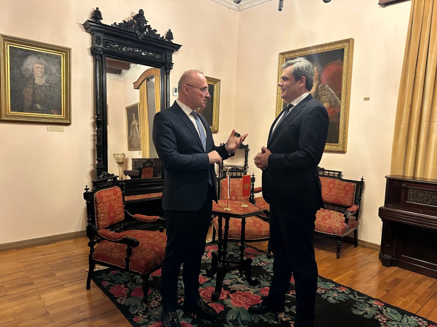 Grlić Radman i Ibrahimović, Foto: RTCG