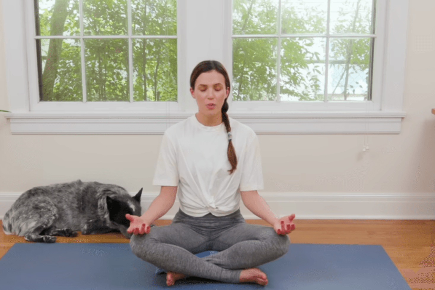 Foto: Screenshot /Youtube