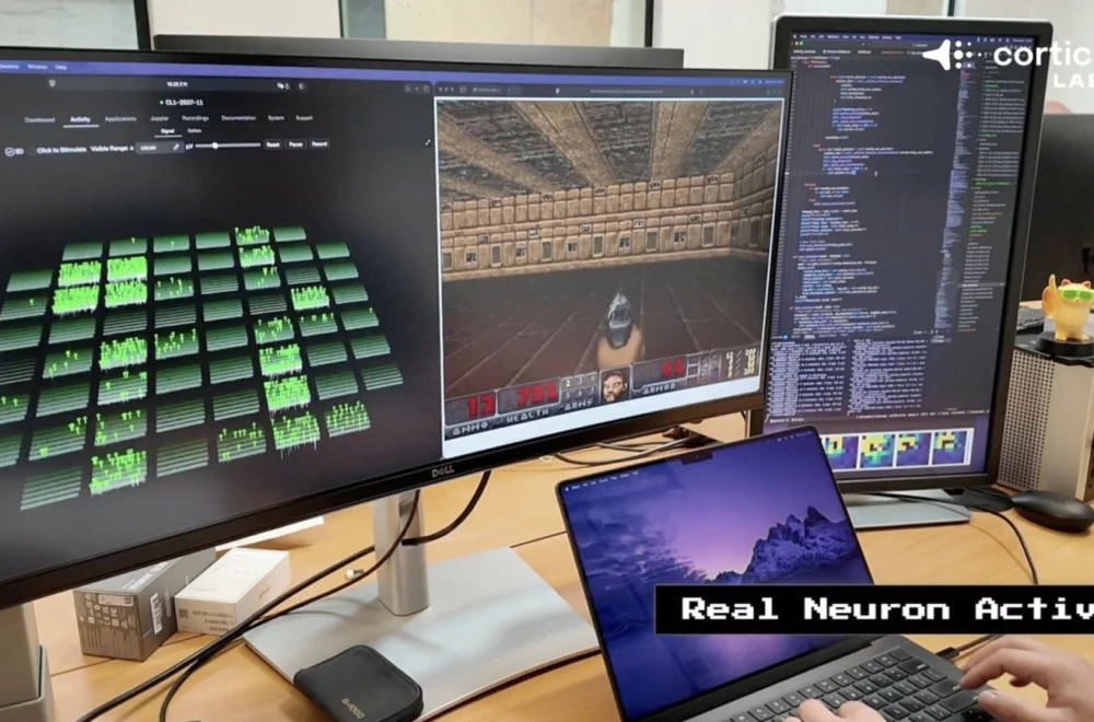 Foto: Am Press/ Cortical Labs / MEGA / The Mega Agency / Profimedia
