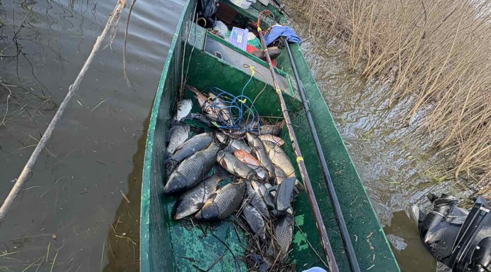 Foto: NP Skadarsko jezero
