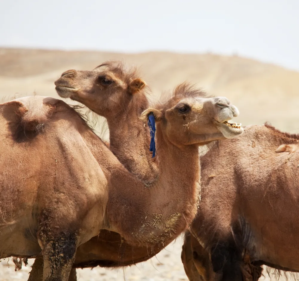 INGIMAGE/IMAGO VIA GULIVER