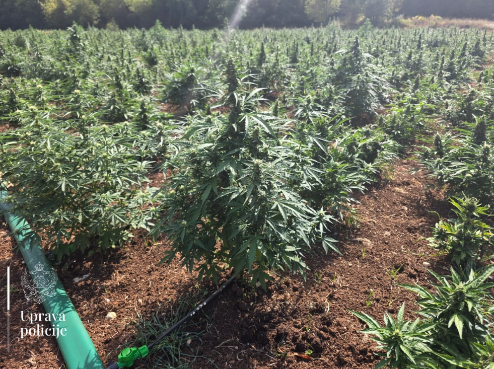 Foto:Uprava policije