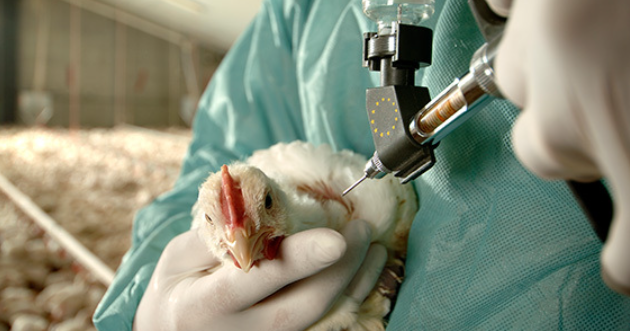 Ilustracija, Foto: Printscreen/ CdM