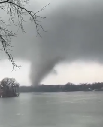 Foto: Printscreen/ X/ Nick Krasznavolgyi