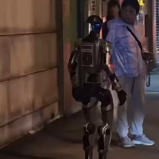 Foto: Printscreen/ X/ IcyVert