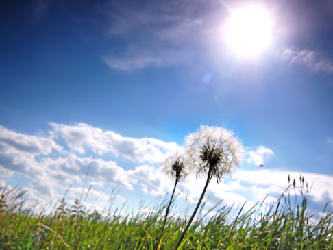 Ilustracija, Foto. Freepik