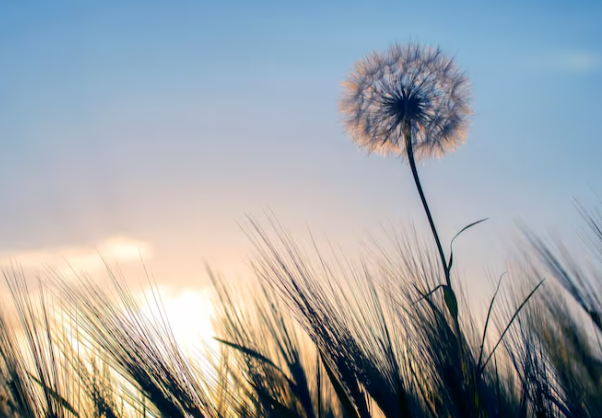 Ilustracija, Foto. Freepik