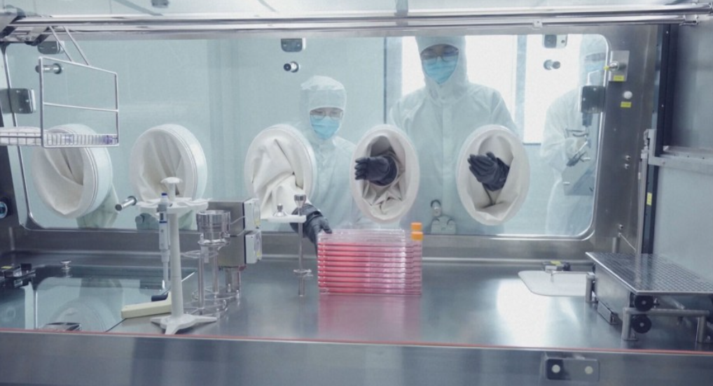 Foto: EPA/ Meridijani