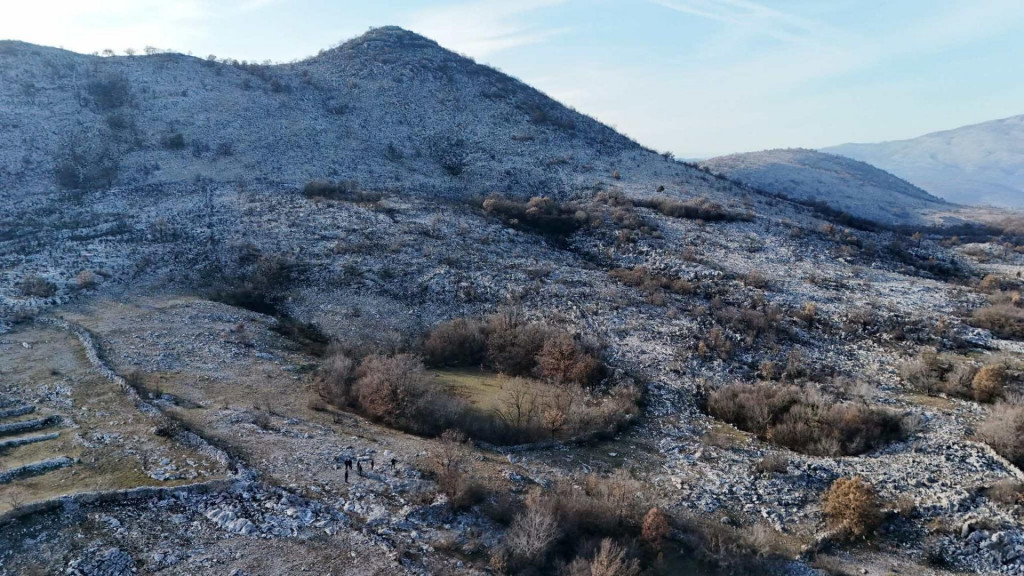 Foto: Dan/  M.Vujisić
