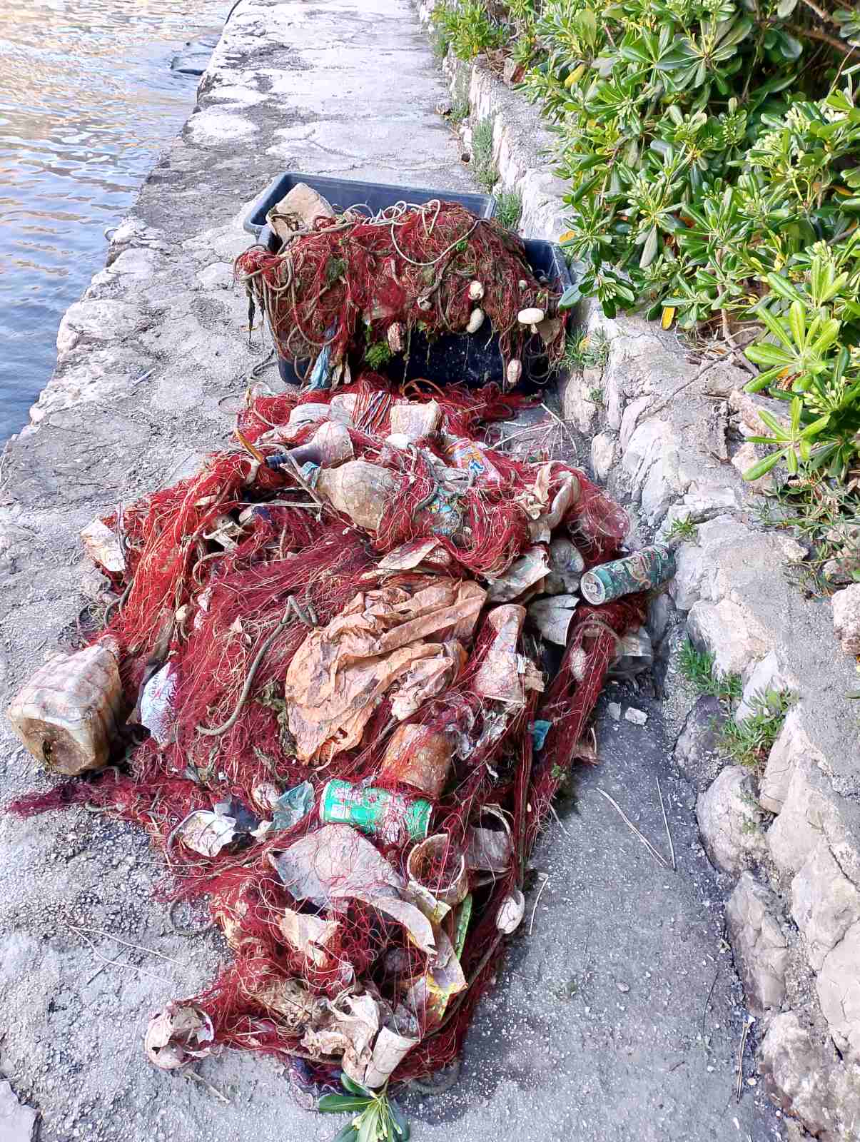 Foto: Udruženje ribara