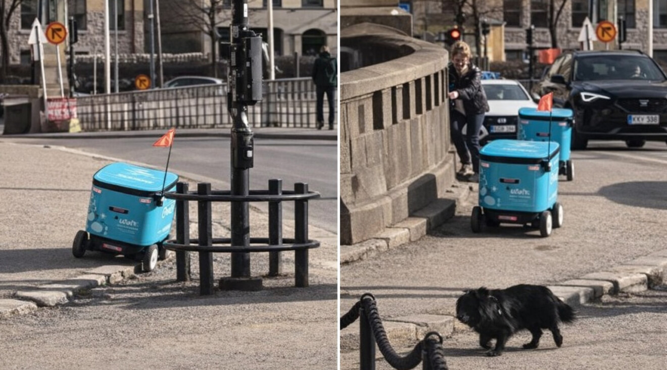 Foto: Printscreen/ YouTube
