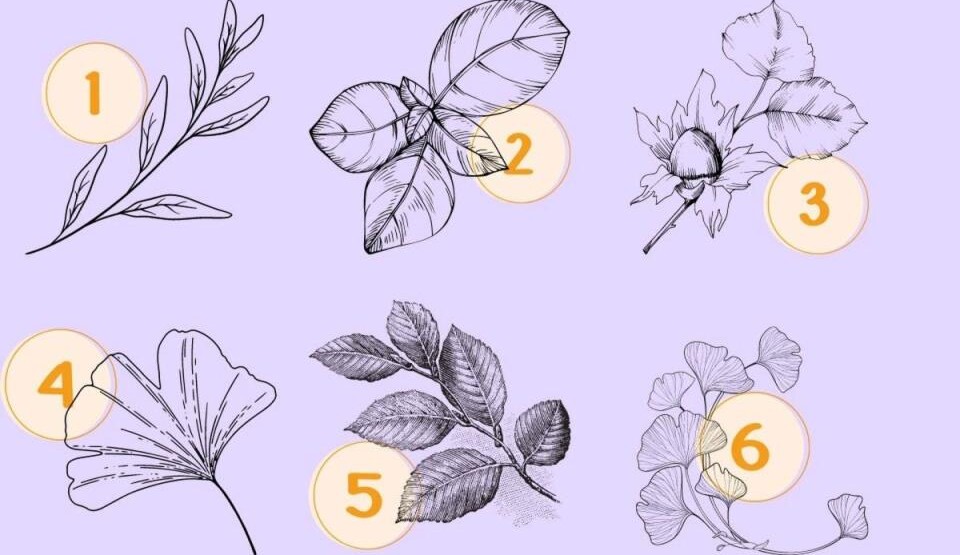 Foto: Printscreen/kobieta.interia.pl
