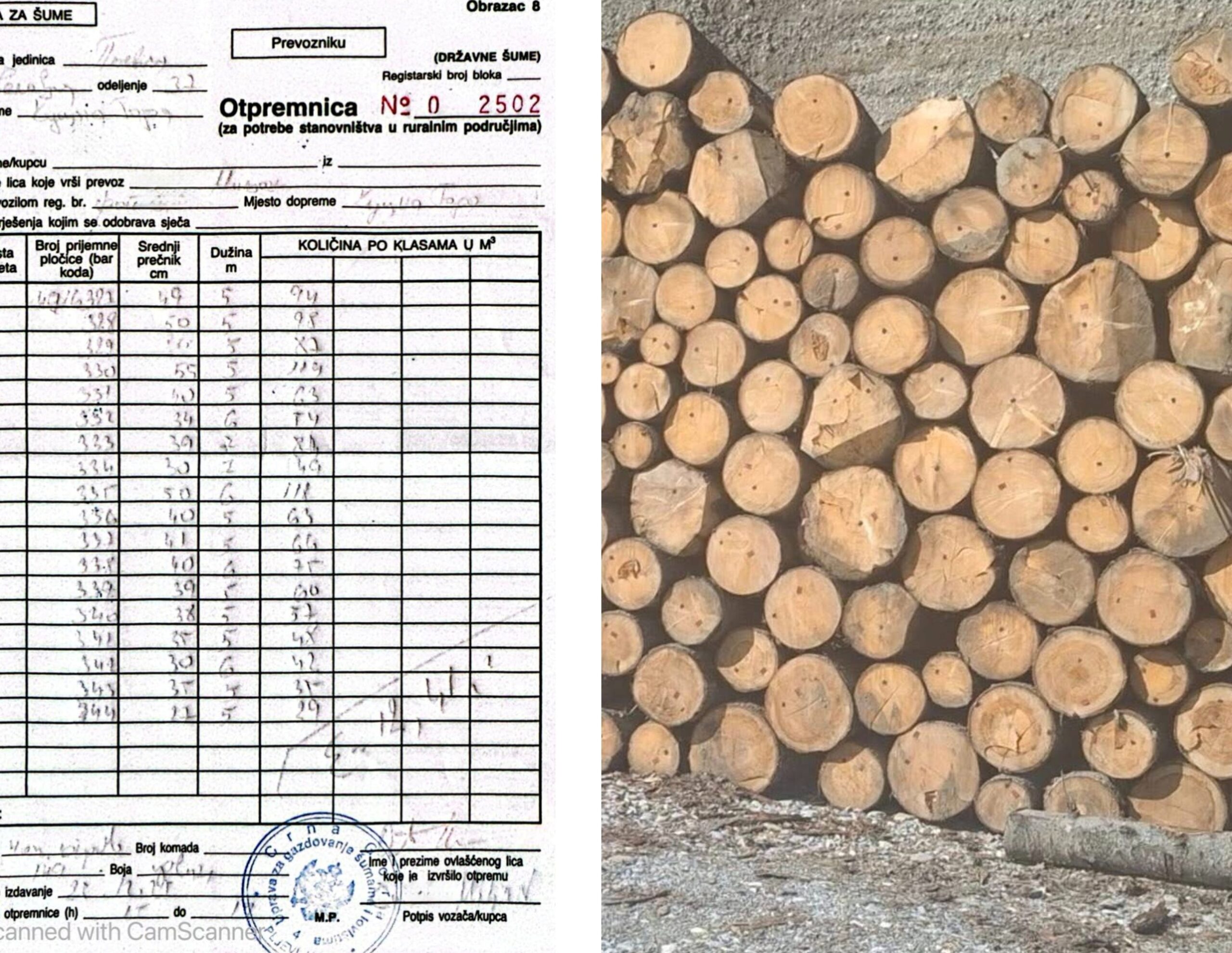 Jedan od bezimenih naloga (kojih ima veća količina) sa trupcima F klase koji je otpremljen kao ogrijevno drvo (9 eura po kubiku), a njegova stvarna vijednost je najmanje 1.200 eura