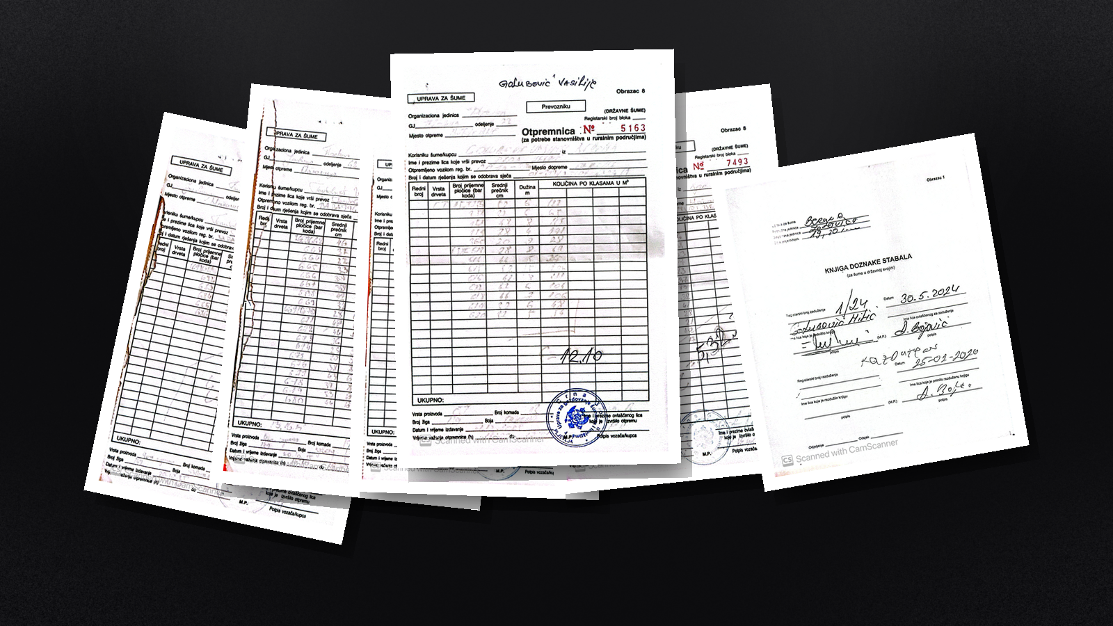 Slučaj Golubović otkriva šemu - “ogrjev” iz državne šume završavao na pilani