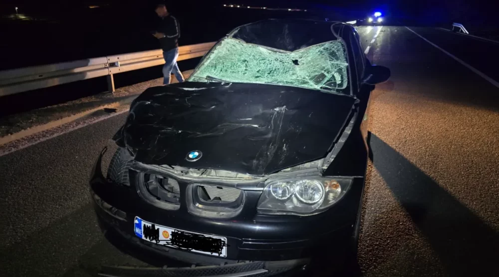 Foto: SZS/RTV Cetinje