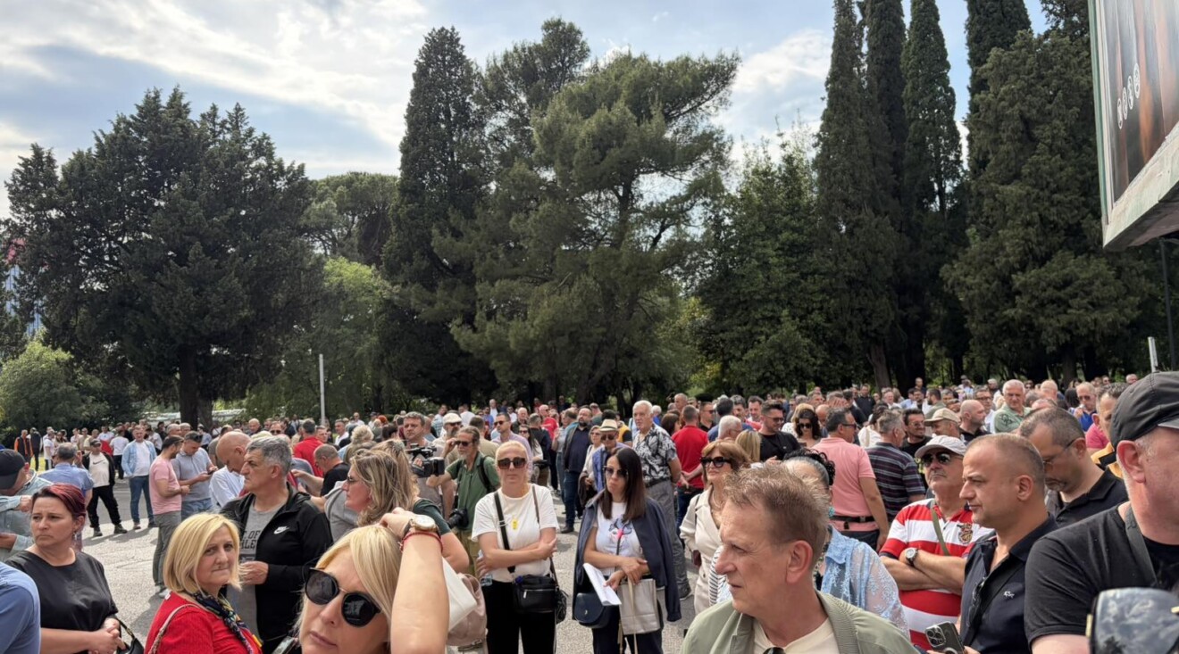 Foto: CdM/Anica Vujadinović
