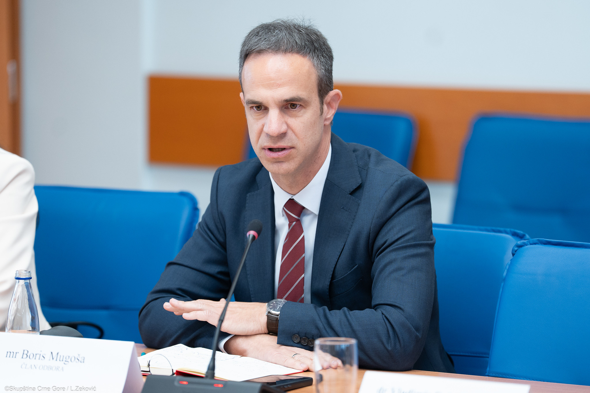 Foto: Skupština CG