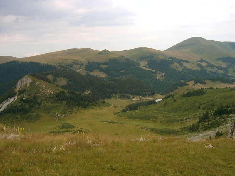 Foto: Wikipedia